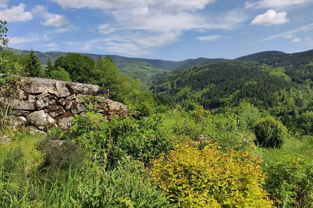 Superbe gîte Laugy dans les montagnes d'Ambert Valcivieres 0*,  France